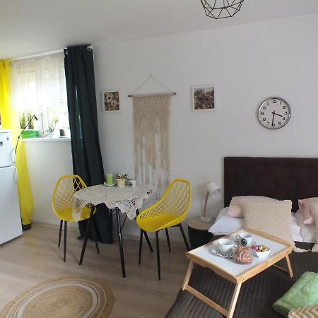 Appartement Wypoczynek U Gosi à Grywald Extérieur photo