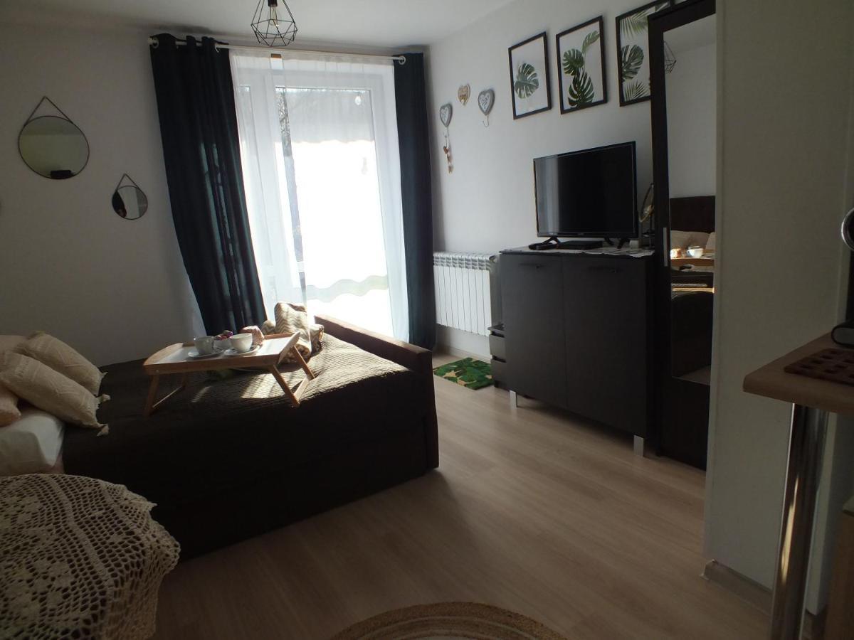 Appartement Wypoczynek U Gosi à Grywald Extérieur photo